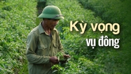 Một vụ đông hơn 2 vụ lúa