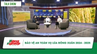 Bảo vệ an toàn vụ lúa đông xuân 2024 - 2025