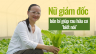 Nữ giám đốc bền bỉ giúp rau hữu cơ 'biết nói'