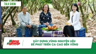 Xây dựng vùng nguyên liệu để phát triển ca cao bền vững