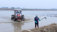 Gần 433.000 ha có nước sau ngày đầu tiên đợt 2 lấy nước đổ ải