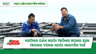 Hướng dẫn nuôi trồng rong sụn trong vùng nuôi nhuyễn thể