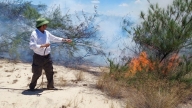 Khi phóng viên xông pha dập lửa, cứu rừng