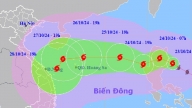 Bão Trà Mi gây mưa lớn, cây đổ ngổn ngang