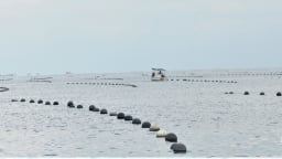 Gỡ khó nuôi biển Kiên Giang: [Bài 5] Rào cản lớn với phát triển nuôi biển