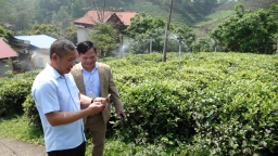 Digitalization on tea field: transparancy in managing production unit codes