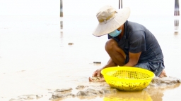 Trà Vinh: 65.000ha đất thủy sản ven biển, bãi bồi chờ nhà đầu tư