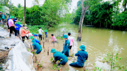 C.P. Việt Nam cùng tỉnh Đồng Tháp xây dựng công trình kè xanh giữ đất