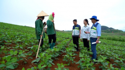 Những người 'gieo hạt'