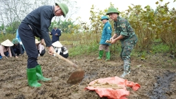 Bí thư Tỉnh ủy Yên Bái xuống đồng trồng dâu cùng nông dân