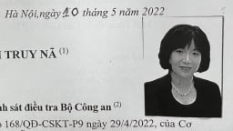 Xét xử vụ án đấu thầu tại VNCERT, nữ Chủ tịch AIC vắng mặt