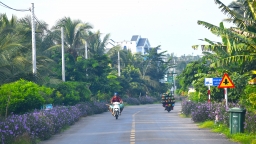 Tân Phú Đông: Vùng đất khó chuyển mình đổi thay đáng kinh ngạc