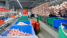 EU pork production stable in 2025