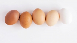 Egg innovations in the United States