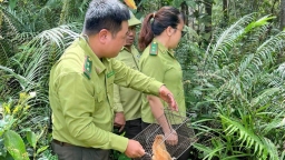 ‘Mướt mồ hôi’ bảo vệ Khu bảo tồn thiên nhiên An Toàn