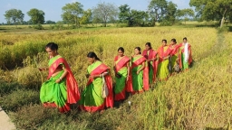 Women in West Bengal’s Jhargram take on patriarchy-  by growing their own organic paddy