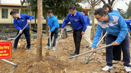 Trồng cây xanh cải thiện môi trường, giảm nhẹ thiên tai