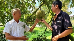 Tân Hưng tái cơ cấu nông nghiệp hiệu quả, thu nhập đạt gần 76 triệu đồng/người