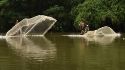 Cuộc sống của làng chài hiếm hoi tại Hà Nội thời ngập lụt