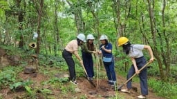 TP Vũng Tàu ra quân hưởng ứng chương trình trồng 1 tỷ cây xanh