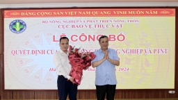 Ông Nghiêm Quang Tuấn giữ chức Phó cục trưởng Cục Bảo vệ thực vật