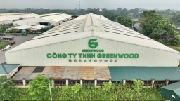 Xử phạt Công ty TNHH GREENWOOD 140 triệu đồng