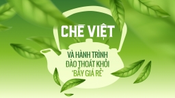 Chè Việt và hành trình đào thoát khỏi 'bẫy giá rẻ'