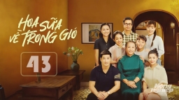 Hoa sữa về trong gió tập 43 trực tiếp VTV1 hôm nay 1/11/2024