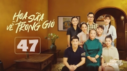 Hoa sữa về trong gió tập 47 trực tiếp VTV1 hôm nay 8/11/2024