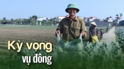 Vụ đông gánh vụ mùa