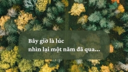 Năm cũ để lại kỷ niệm, năm mới để tạo dựng!