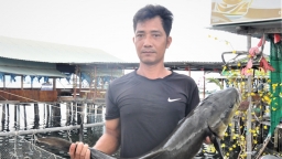Gỡ khó nuôi biển Kiên Giang: [Bài 2] Phú Quốc theo hướng công nghiệp