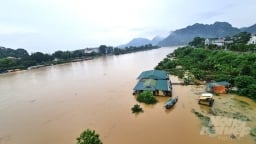 12 lồng cá của người dân xứ Tuyên bị nước lũ cuốn trôi