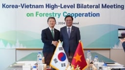 Việt Nam - Hàn Quốc tăng cường hợp tác phát triển ngành lâm nghiệp đa dụng