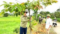 Lực cản Hà Tĩnh: [Bài 5] Cái khó bó cái khôn