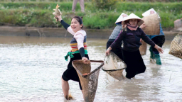 Du khách thích thú lội ruộng bắt cá trong lễ hội của người Mường