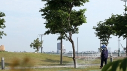 Bộ Công an yêu cầu Phú Yên cung cấp tài liệu 30 dự án cây xanh