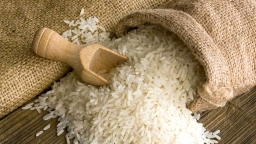 Philippines giảm thuế nhập khẩu gạo xuống 15%