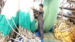 Tương lai cho nghề cá bền vững: [Bài 1] Kỳ vọng năm mới