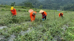 Sức bật mới trên rẻo cao: [Bài 1] Tạo sinh kế bền vững cho đồng bào dân tộc thiểu số