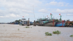 Bộ Tư pháp làm việc tại Bình Định về pháp luật lĩnh vực thủy sản