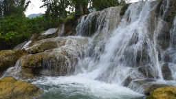 'Cá thần' dưới chân thác Trăng