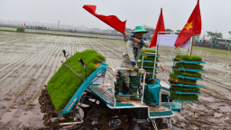 Hội thi của những người 'cấy ngồi' ở Hà Nội