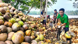 Ngành nông nghiệp Bến Tre duy trì đà tăng trưởng cao, phát triển toàn diện