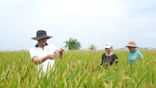 Giảng viên đại học và hành trình theo đuổi đam mê khảo kiểm nghiệm phân bón