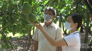 Câu chuyện khuyến nông