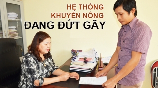 [Kỳ IV] Những lá đơn xin nghỉ việc của 'ông thú', 'ông khuyến' ở Hòa Bình