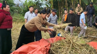 Vùng cao Sơn La học cách thích ứng với biến đổi khí hậu