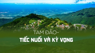 Bài 2: Tam Đảo - Tiếc nuối và kỳ vọng