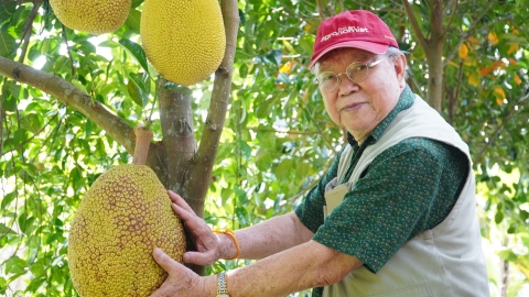 Giáo sư Võ Tòng Xuân qua đời